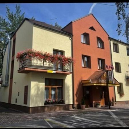 Hotel Adler チェスケー・ブジェヨヴィツェ エクステリア 写真